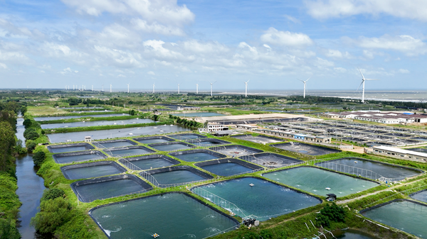 从碧海育苗到海上丰获 广东港航集团奋力绘就“蓝色粮仓”新图景