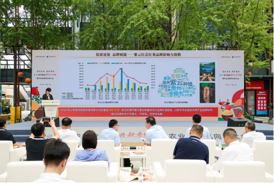 从“卖原料”到“卖品牌”——一颗红芯红薯背后的山地农业现代化样本